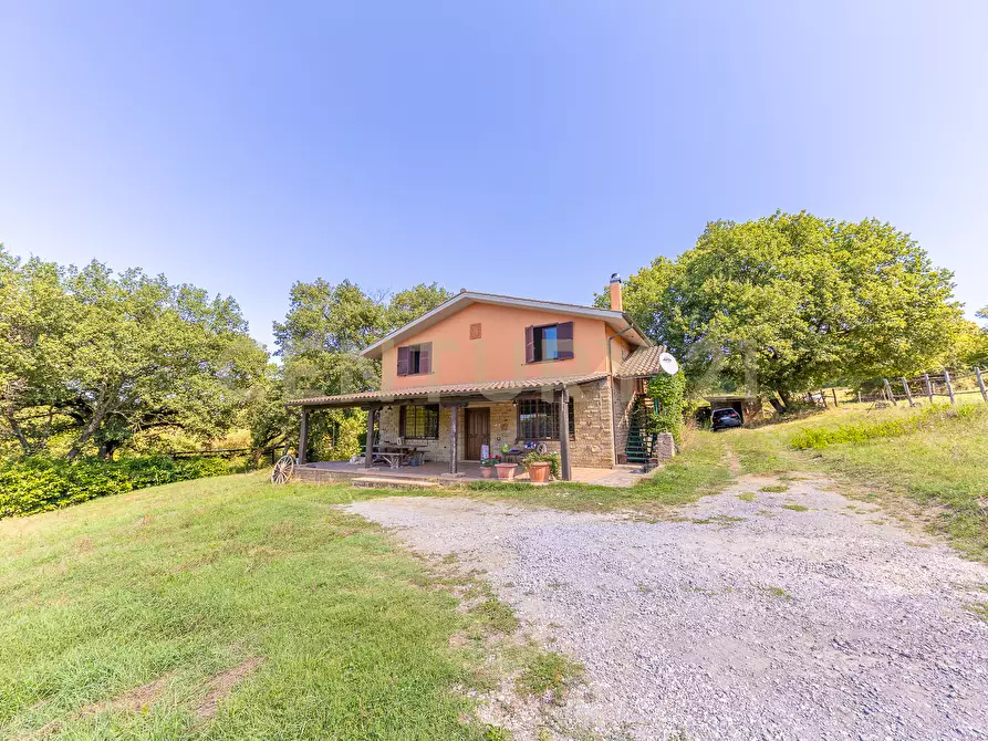 Immagine 18 di Rustico / casale in vendita  in località san quirichello a Barbarano Romano