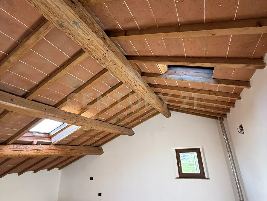 Immagine 44 di Pentalocale in vendita  in Strada della Principina 2 a Grosseto