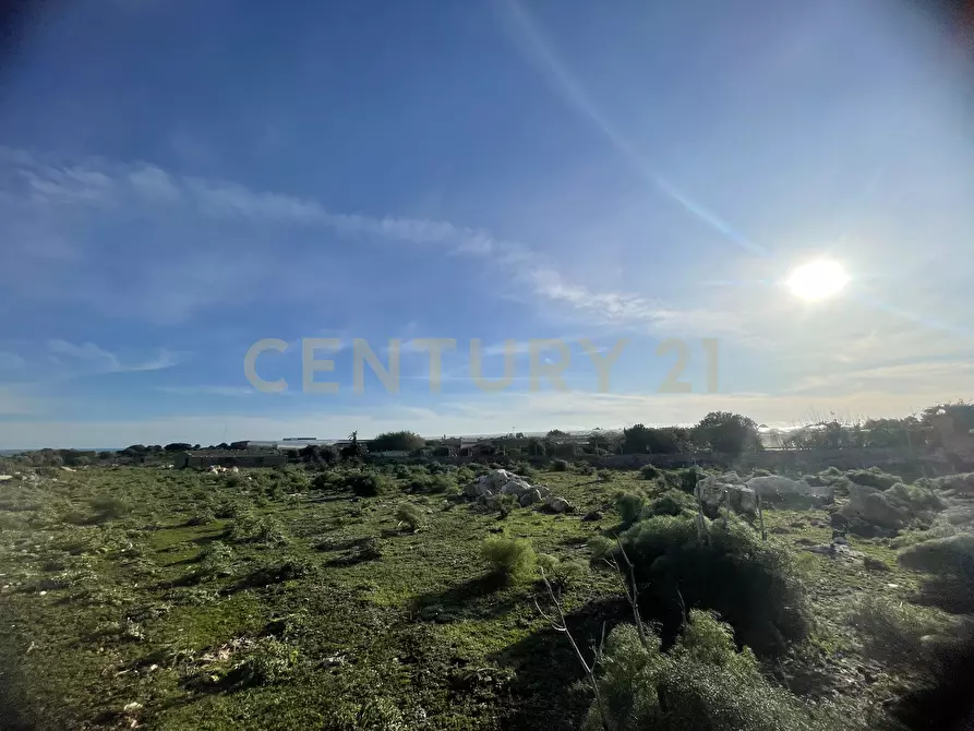Immagine 7 di Terreno agricolo in vendita  in CONTRADA CORRIDORE CAMPANA SNC a Portopalo Di Capo Passero