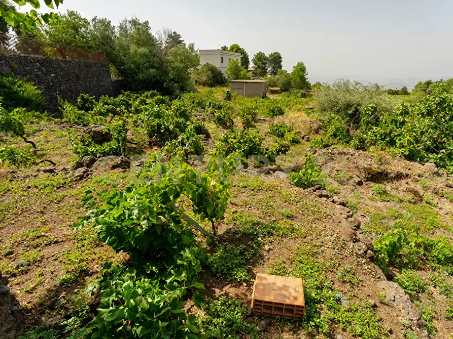 Immagine 31 di Villa in vendita  in Strada Provinciale 158 a Biancavilla