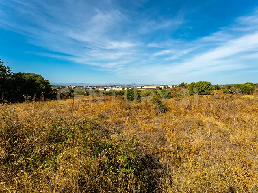 Immagine 3 di Terreno industriale in vendita  in Vicinanze DAIS a Belpasso