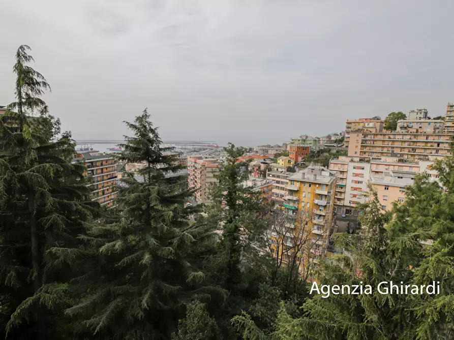Immagine 41 di Quadrilocale in affitto  in Via Briscata 28 a Genova
