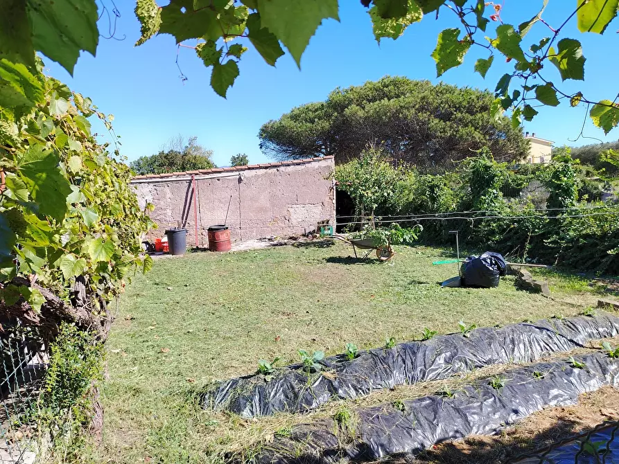 Immagine 30 di Villa in vendita  in Via Mentana 9 a Nettuno