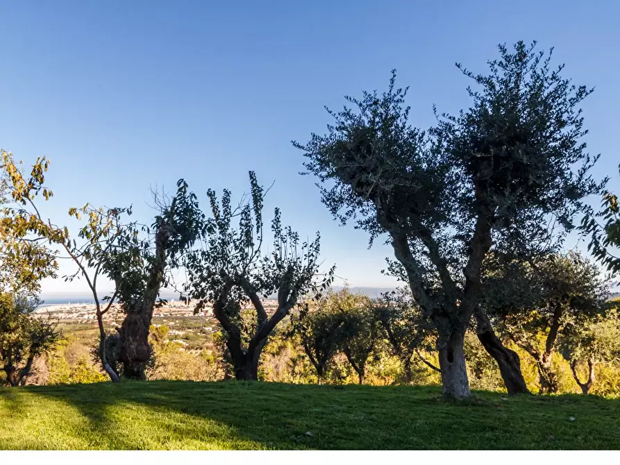 Immagine 24 di Casa indipendente in vendita  a Livorno