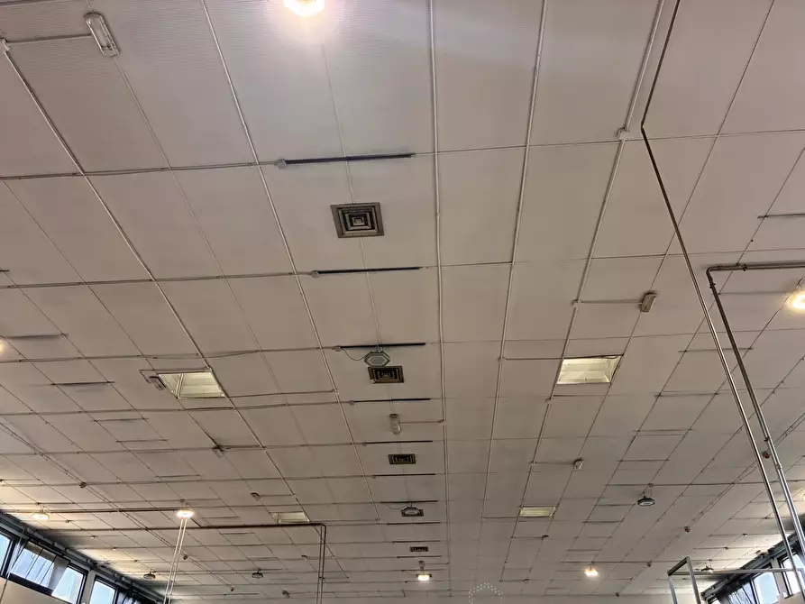 Immagine 15 di Attività artigianale in vendita  a Parma