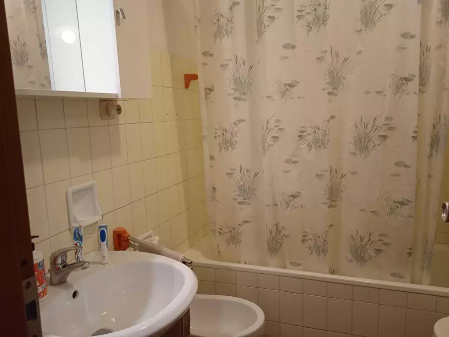 Immagine 9 di Stanza singola in affitto  a Trento