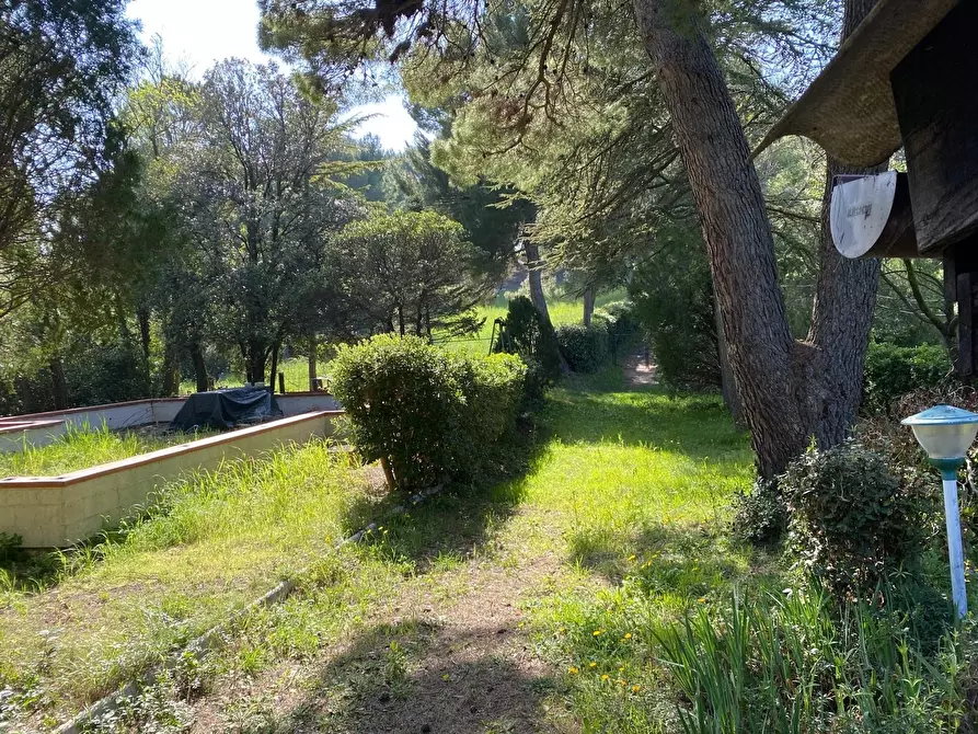 Immagine 22 di Rustico / casale in vendita  in Massignano a Ancona