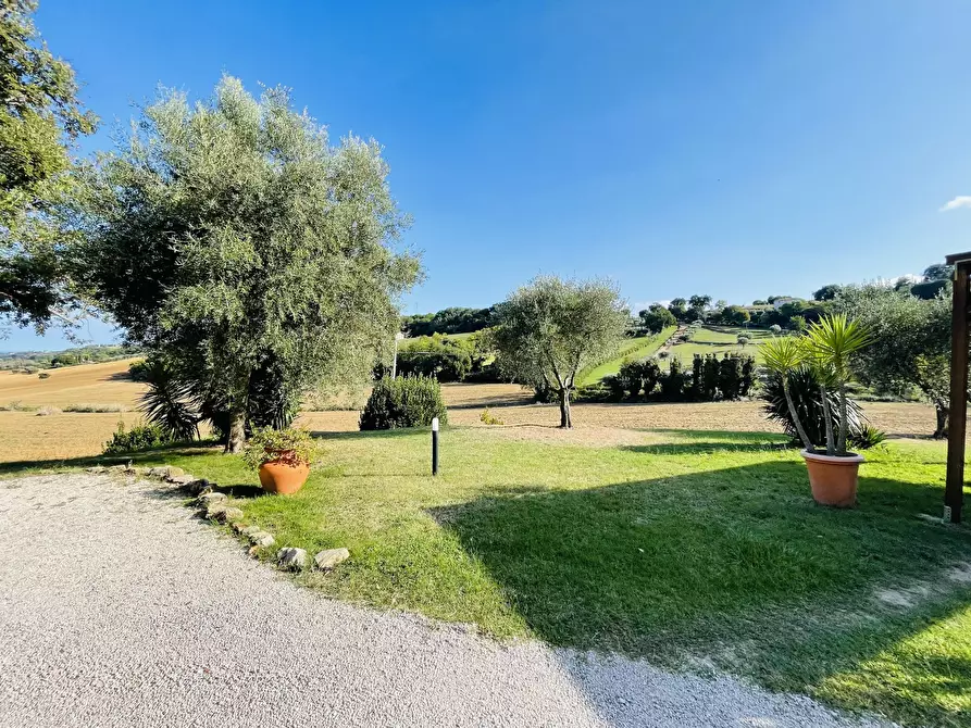 Immagine 12 di Rustico / casale in vendita  in san savino a Montecosaro