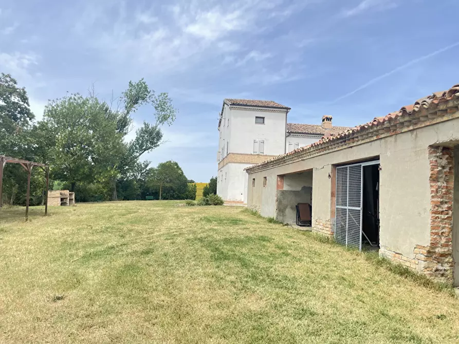 Immagine 4 di Rustico / casale in vendita  in Filottrano a Filottrano