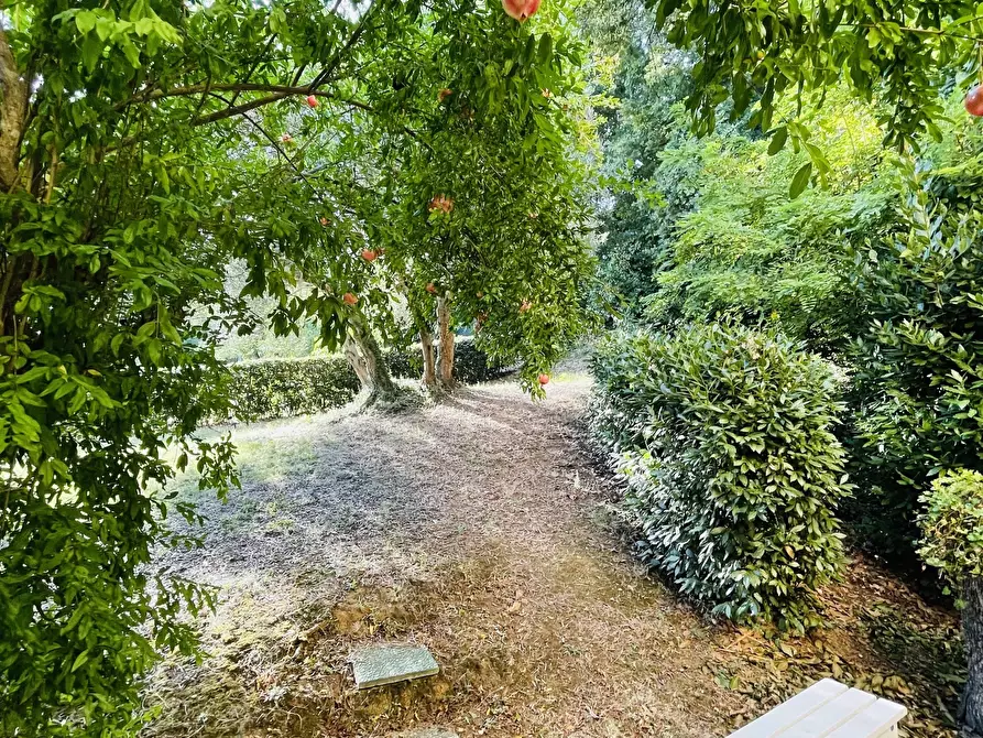 Immagine 9 di Rustico / casale in vendita  in san savino a Montecosaro