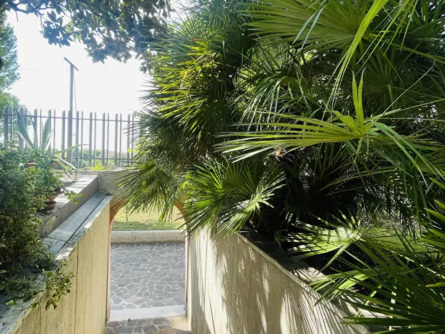 Immagine 27 di Villa in vendita  in Via Cagiata a Osimo