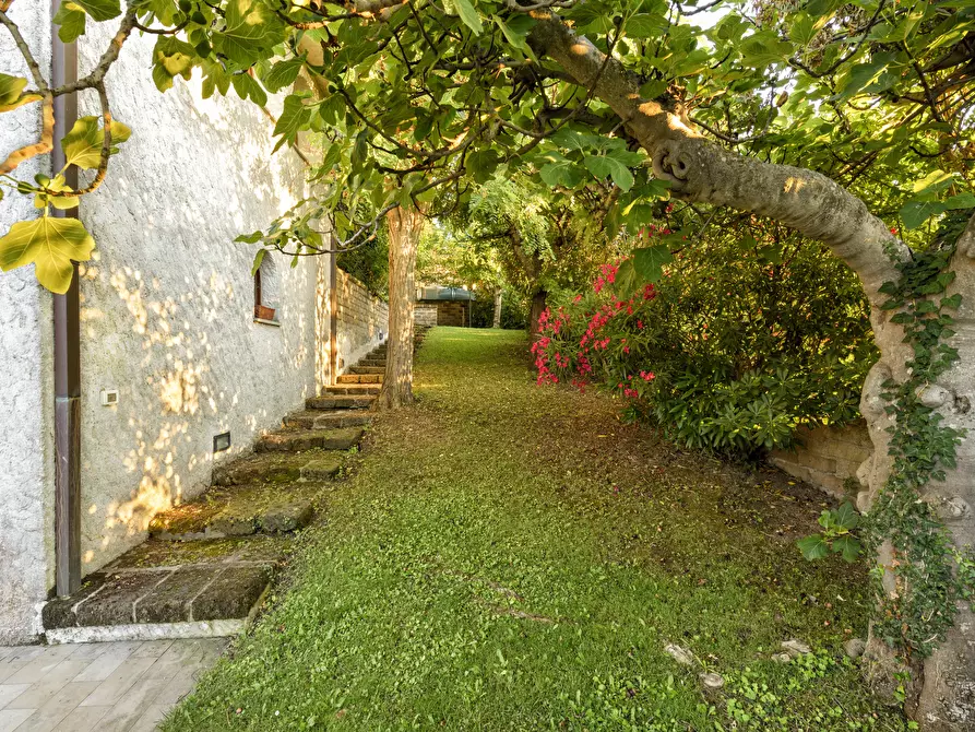 Immagine 33 di Villa in affitto  in Via ISCHIA a Numana