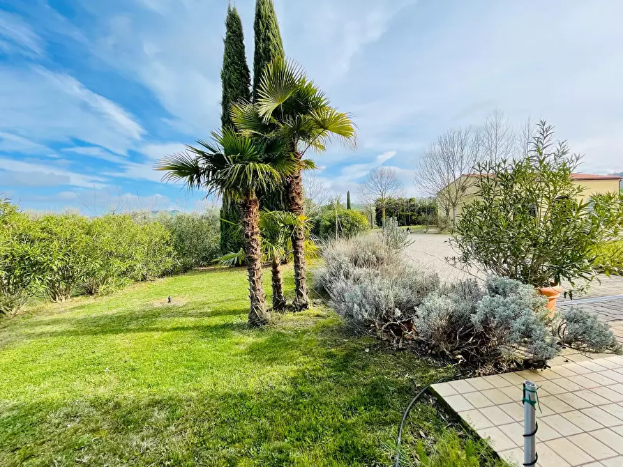 Immagine 10 di Rustico / casale in vendita  in morrovalle a Morrovalle