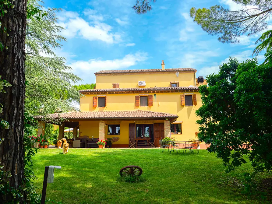 Immagine 46 di Villa in vendita  in VIA CHIARAVALLESE a Osimo