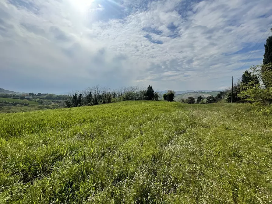 Immagine 8 di Rustico / casale in vendita  in Frazione Poggio a Ancona
