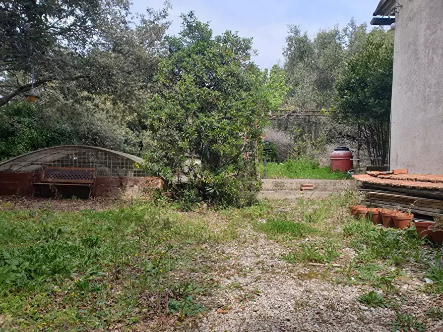 Immagine 8 di Rustico / casale in vendita  a Livorno