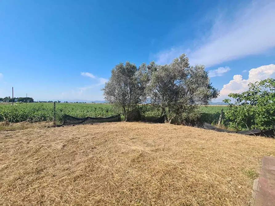 Immagine 7 di Porzione di casa in vendita  a Livorno