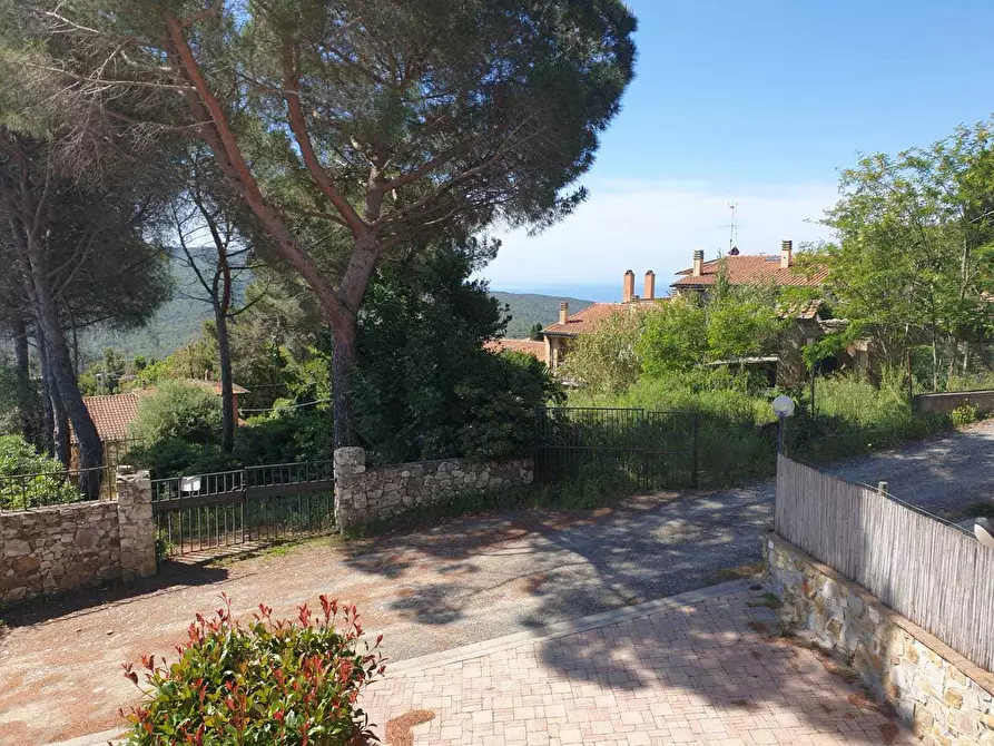 Immagine 9 di Villa in vendita  a Livorno