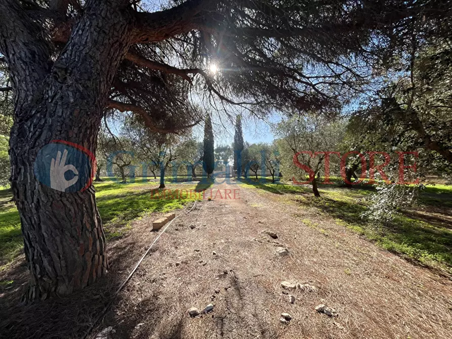 Immagine 39 di Rustico / casale in vendita  a San Vito Dei Normanni