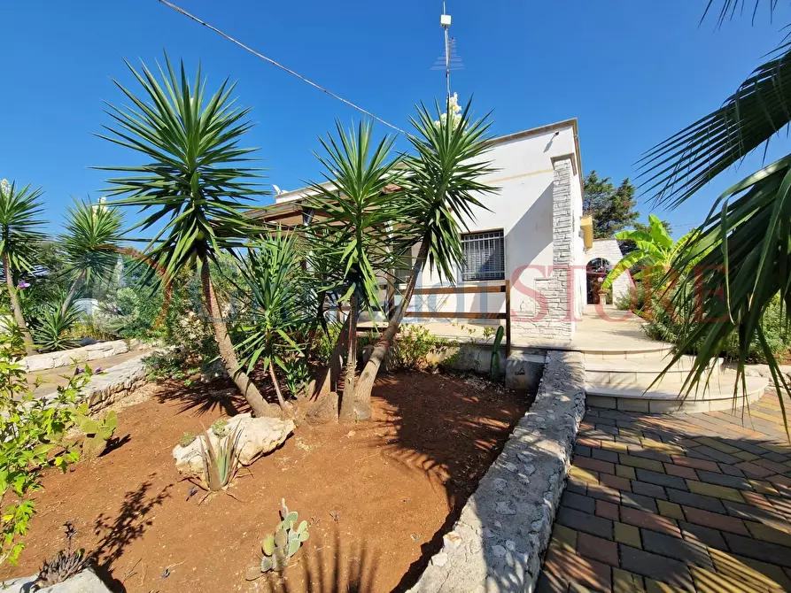 Immagine 32 di Villa in vendita  a San Vito Dei Normanni