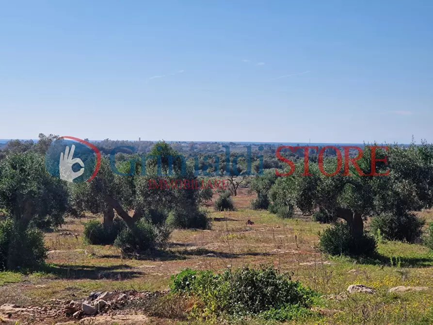 Immagine 14 di Casa indipendente in vendita  a Porto Cesareo