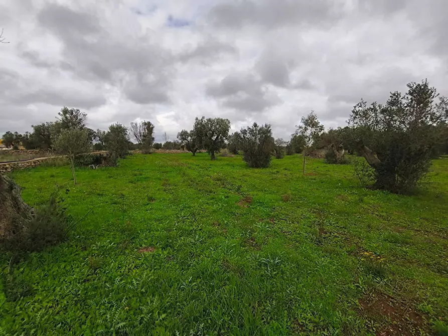 Immagine 5 di Terreno edificabile in vendita  in Contrada Curlo snc a Sannicola