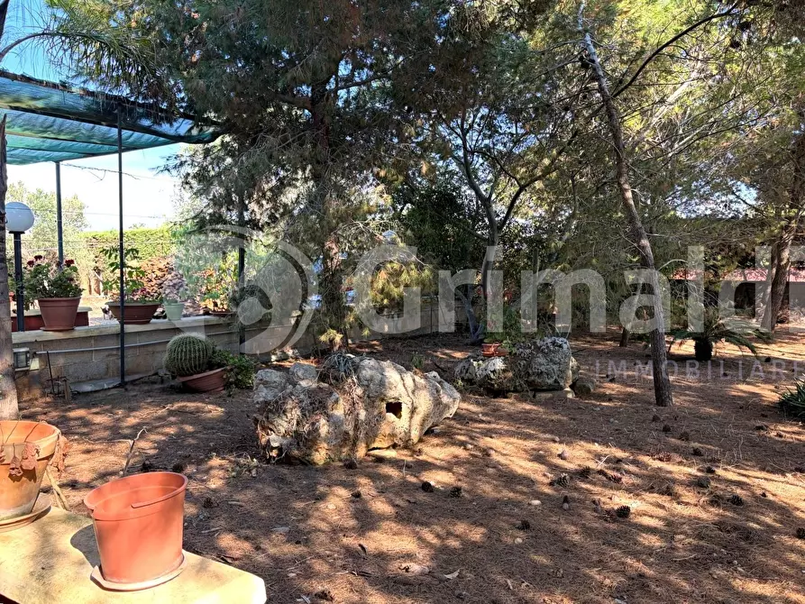 Immagine 19 di Casa indipendente in vendita  in Contrada Curlo a Sannicola