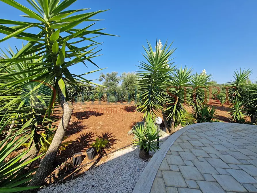 Immagine 39 di Villa in vendita  a San Vito Dei Normanni