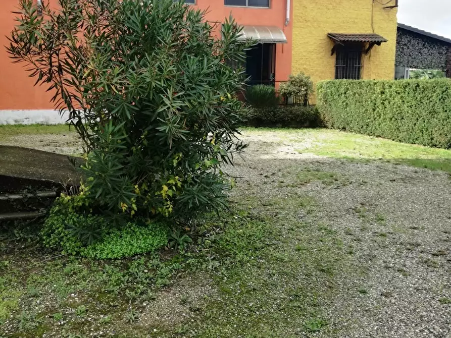 Immagine 6 di Capannone industriale in vendita  a Pezzana