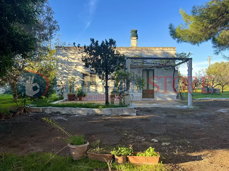 Immagine 1 di Rustico / casale in vendita  a San Vito Dei Normanni