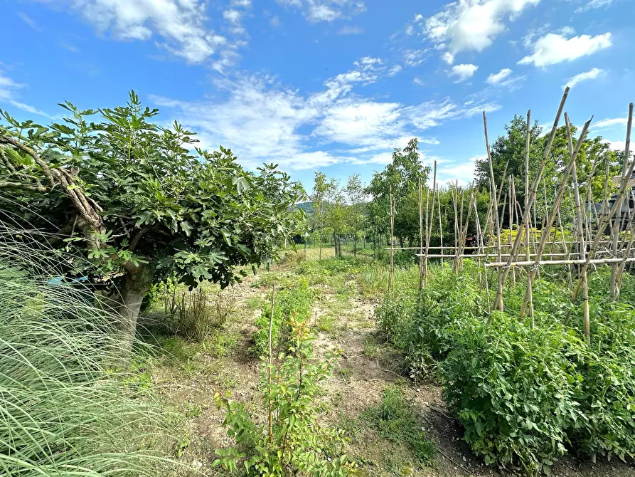 Immagine 23 di Villetta a schiera in vendita  in vicolo Borgo 15 a Camino