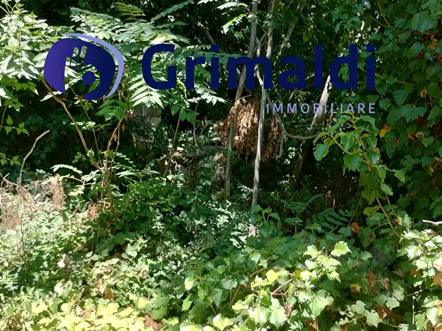 Immagine 10 di Terreno agricolo in vendita  in Corsa Regina Elena SNC a Barano D'ischia