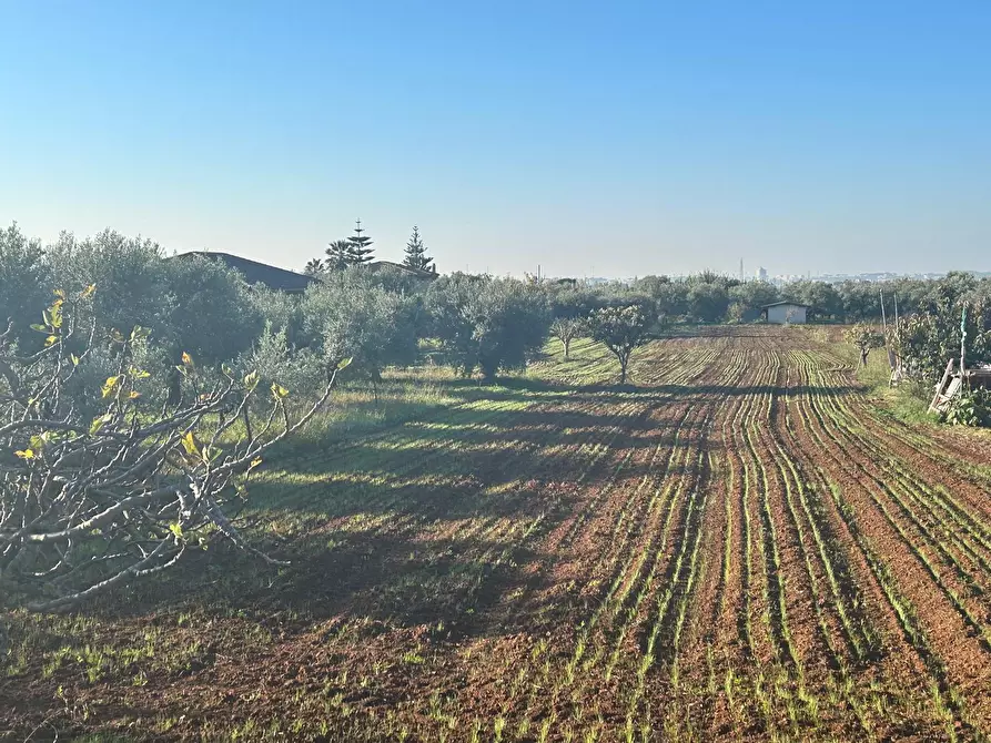 Immagine 3 di Terreno agricolo in vendita  a Terracina