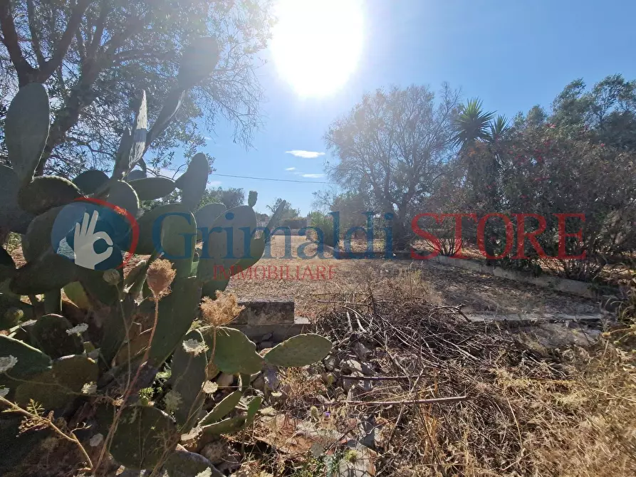 Immagine 14 di Terreno agricolo in vendita  a Latiano