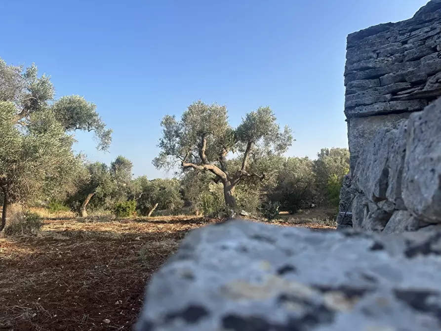 Immagine 3 di Terreno edificabile in vendita  a Ceglie Messapico