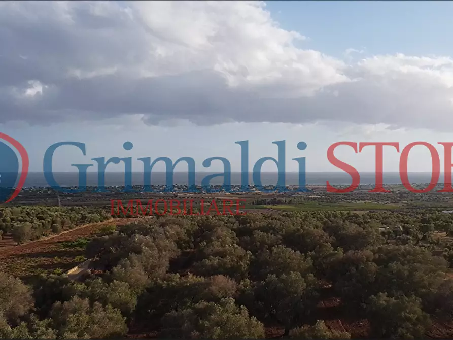 Immagine 14 di Terreno agricolo in vendita  a Manduria