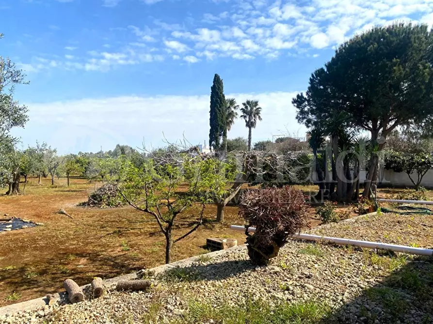Immagine 19 di Villa in vendita  in strada provinciale 361 a Gallipoli
