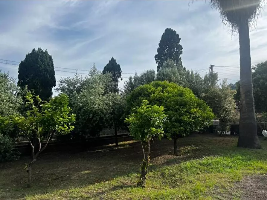 Immagine 40 di Casa indipendente in vendita  in via Umberto I 1 a Santa Marina Salina