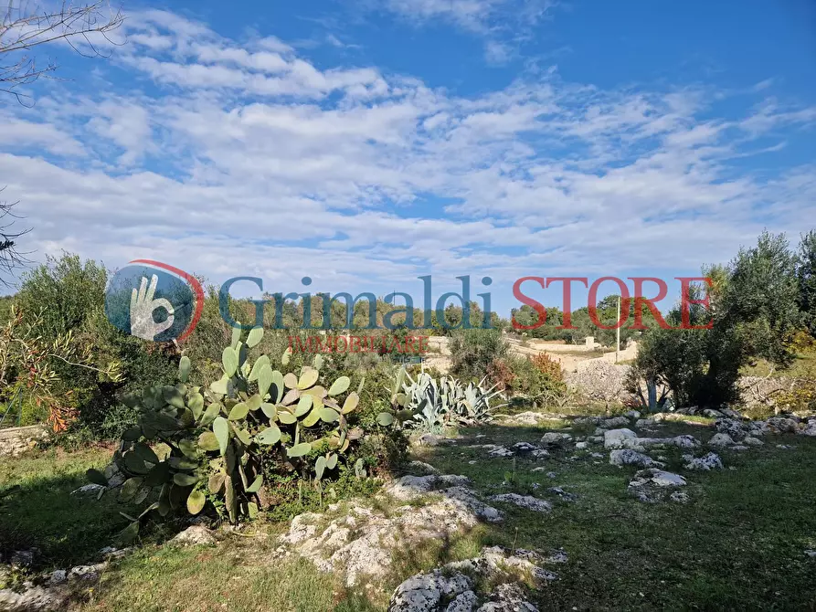 Immagine 15 di Casa indipendente in vendita  a Ostuni