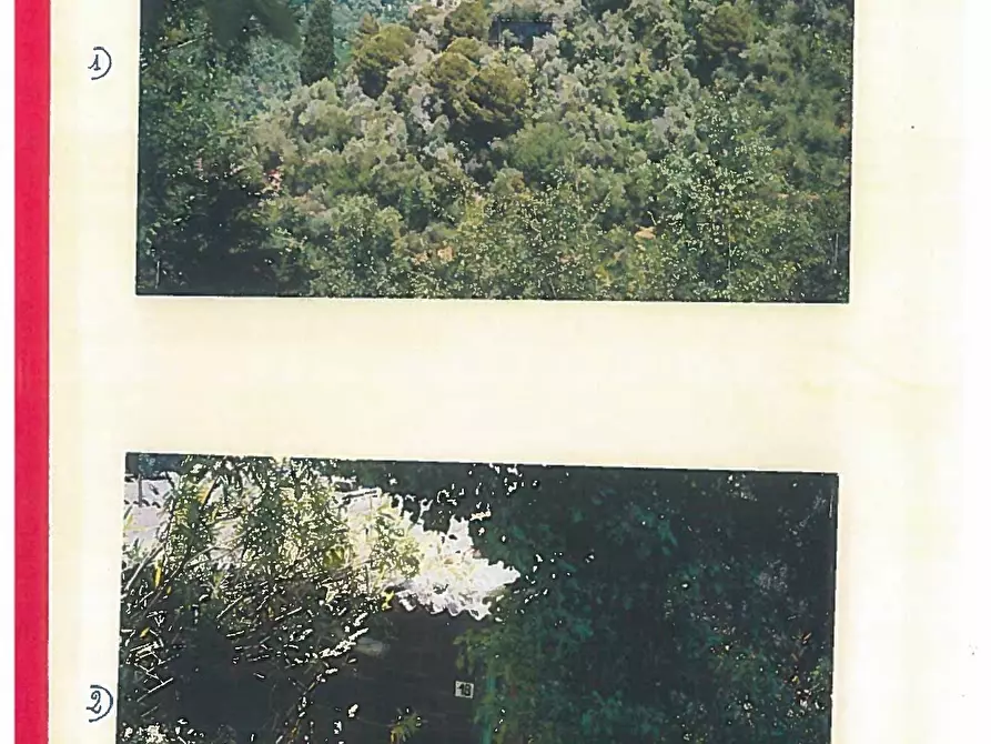 Immagine 4 di Terreno edificabile in vendita  in Via Carcassoni 18 a Rapallo