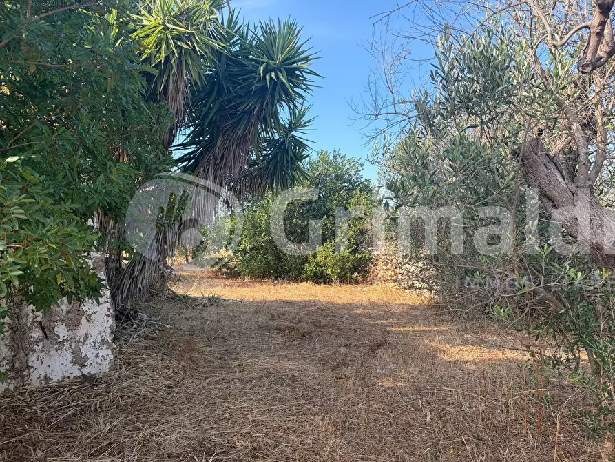 Immagine 20 di Terreno agricolo in vendita  in Contrada Coline a Alezio