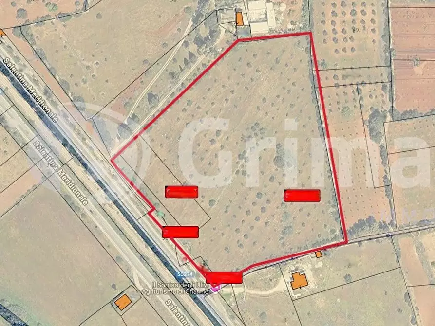 Immagine 5 di Terreno agricolo in vendita  in Strada Statale 274 a Gallipoli