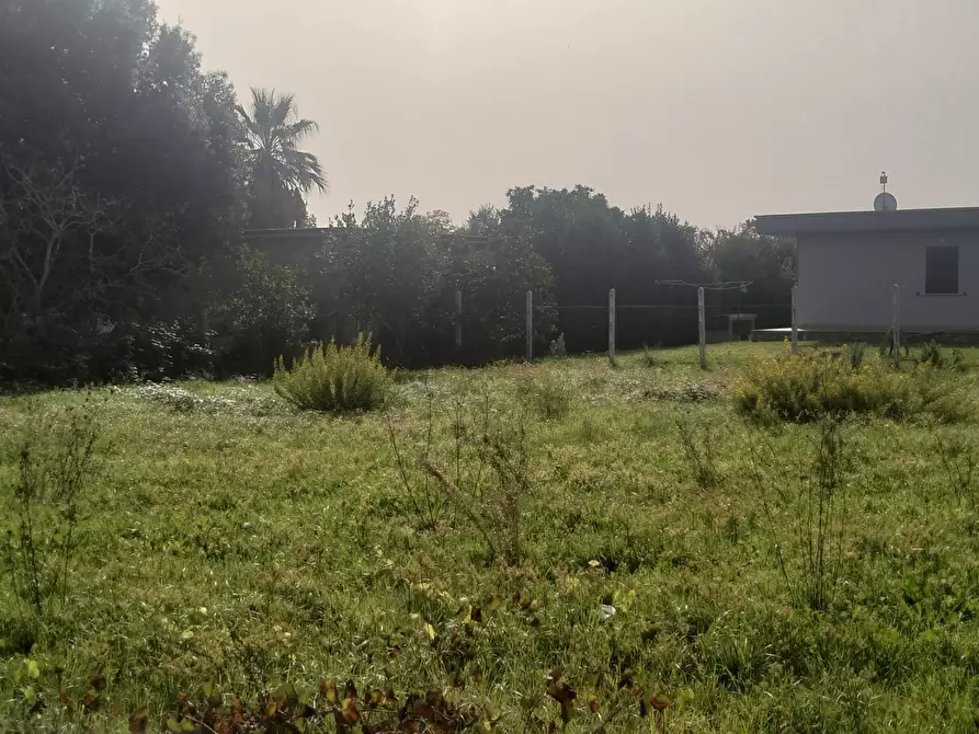Immagine 2 di Terreno agricolo in vendita  in Via Lago di Sirino a Nettuno