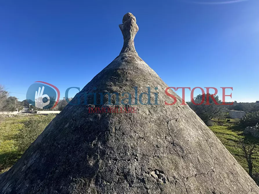 Immagine 22 di Casa indipendente in vendita  a Carovigno