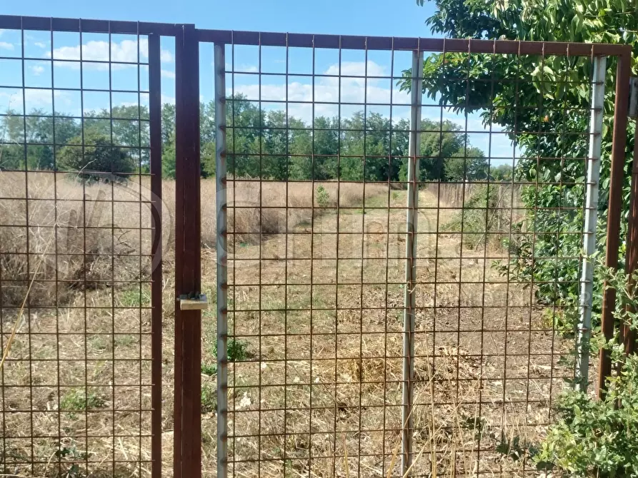 Immagine 4 di Terreno agricolo in affitto  a Giugliano In Campania