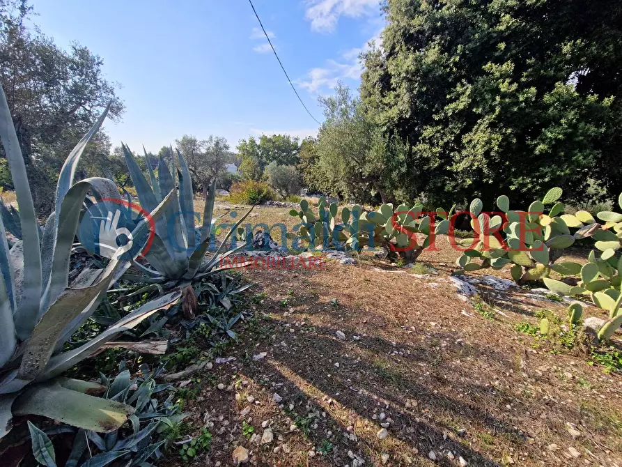 Immagine 4 di Casa indipendente in vendita  a Ostuni