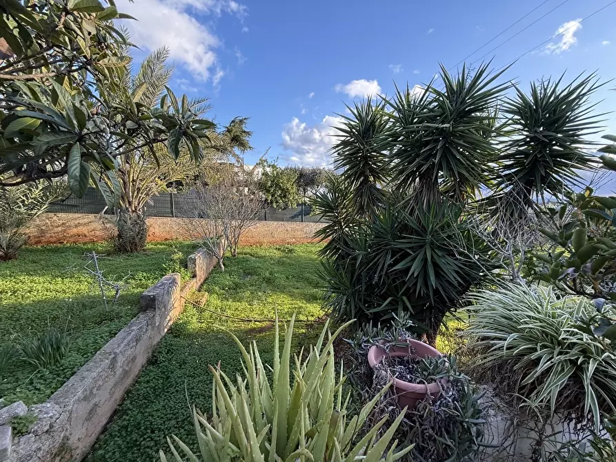 Immagine 3 di Casa indipendente in vendita  in SP361 a Parabita