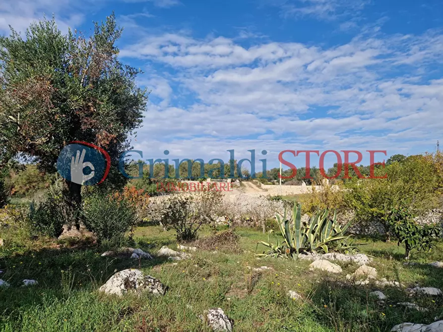 Immagine 20 di Casa indipendente in vendita  a Ostuni