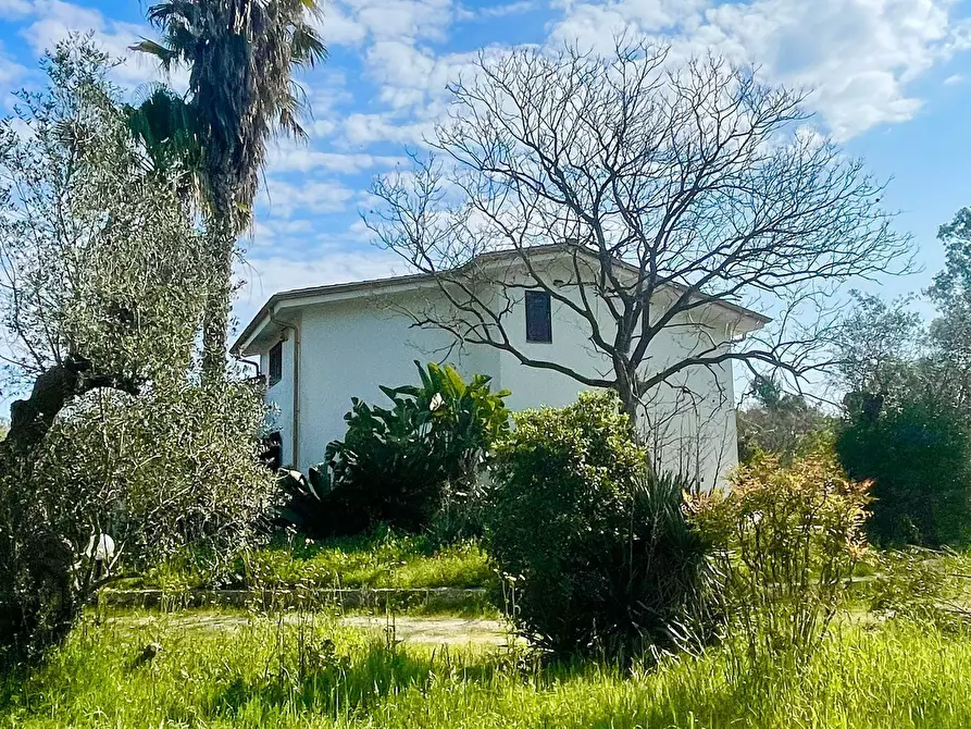 Immagine 40 di Villa in vendita  in strada provinciale 39 a Maglie