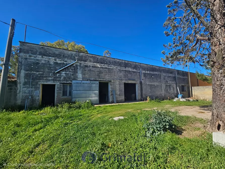 Immagine 25 di Magazzino in vendita  in Via Solano Li Belli 47 a Lequile